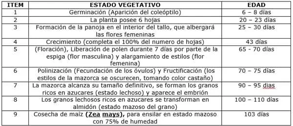 Producción de Forrajes Aplicado a La Alimentación Animal Ensilaje ... Producción de Forrajes Aplicado a La Alimentación Animal Ensilaje ...