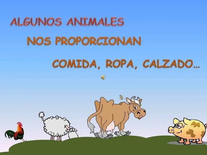 productos animales