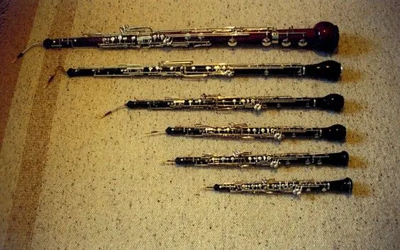 El profe de Oboe (1º) | Blog de la clase de oboe de Roberto Cuervo El profe de Oboe (1º) | Blog de la clase de oboe de Roberto Cuervo