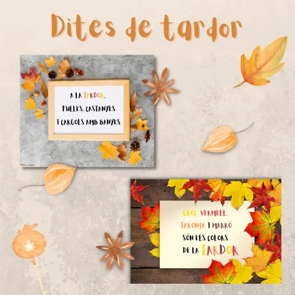 Profes Papel Tijera Recursos