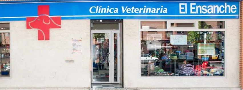 profesiones | Planeta Cookie