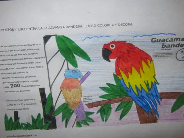 PROFESOR MIGUEL B: GUACAMAYA BANDERA NUEVA MONEDA DE $200 - CURSO 402