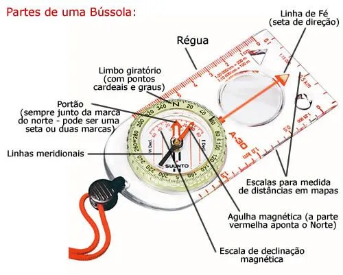 Bussola escolar - Imagui