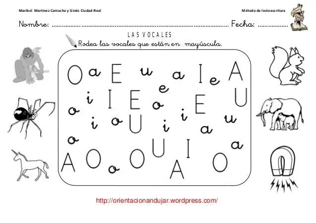 programa- ...