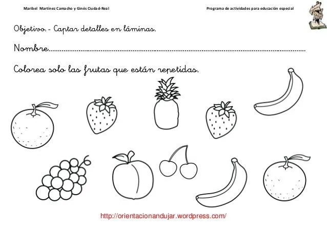 Programa de-actividades-para-educacion-especial-orientacion-andujar