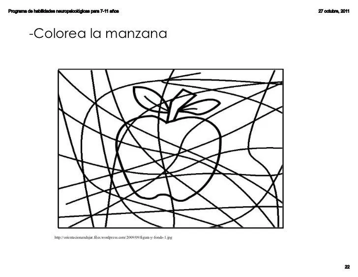 Programa de desarrollo de habilidades neuropsicológicas Programa de desarrollo de habilidades neuropsicológicas