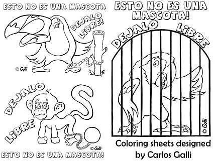 Programa de Educación | Asociacion Pro Bienestar Animal Jaco Programa de Educación | Asociacion Pro Bienestar Animal Jaco