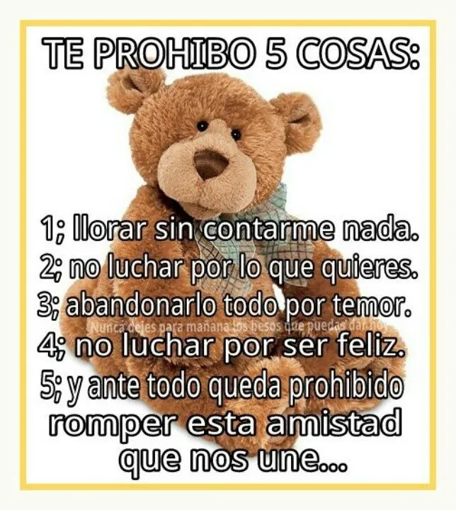 Te prohibo 5 cosas | Frases bellas | Pinterest | Girly