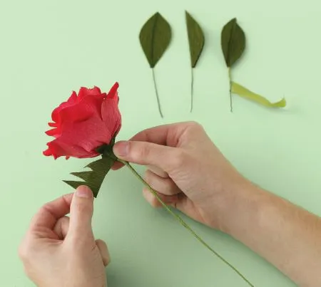 Rosas de papel crepe - Imagui