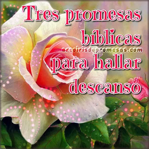 Tres promesas de la Biblia para hallar descanso | Arcoiris de Promesas Tres promesas de la Biblia para hallar descanso | Arcoiris de Promesas
