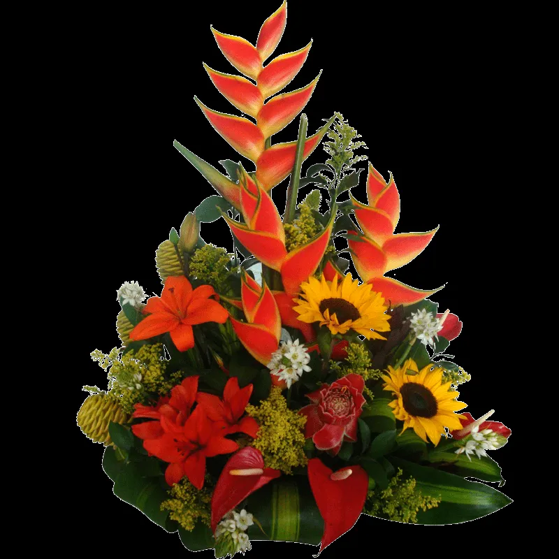 Promoción de arreglos florales a domicilio | Proactiva Comunicaciones Promoción de arreglos florales a domicilio | Proactiva Comunicaciones
