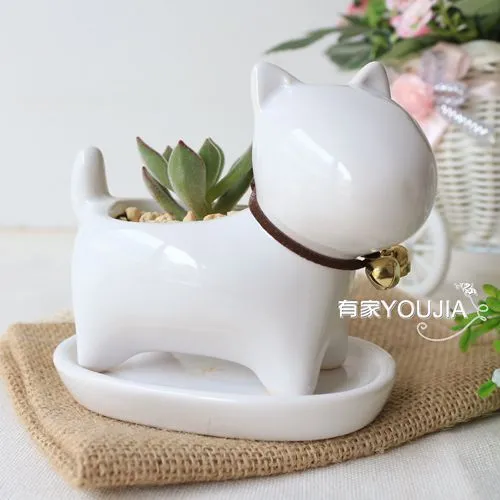 Promoción de gatos plantas en maceta - Compra gatos plantas en ... Promoción de gatos plantas en maceta - Compra gatos plantas en ...