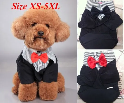 Promoción de Ropa Masculina Perro - Compra Ropa Masculina Perro ... Promoción de Ropa Masculina Perro - Compra Ropa Masculina Perro ...