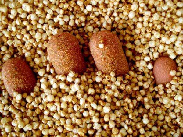 Propiedades de la quinoa
