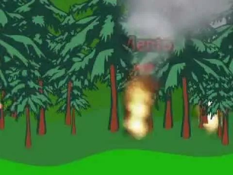 Propone Partido Verde aumentar multas para evitar incendios ...