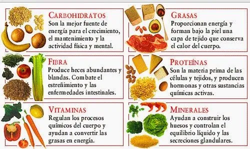Qué cosas nos proporcionan los alimentos de origen animal y ... Qué cosas nos proporcionan los alimentos de origen animal y ...