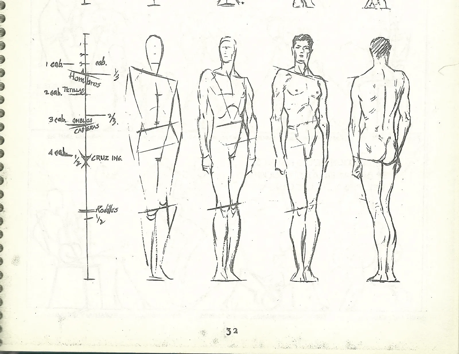 PROPORCIONES DEL CUERPO HUMANO | Dibujo al Natural y Formas y ...