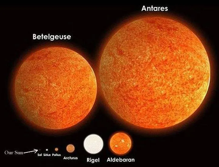 Proporciones del Universo | Segundo Ciclo