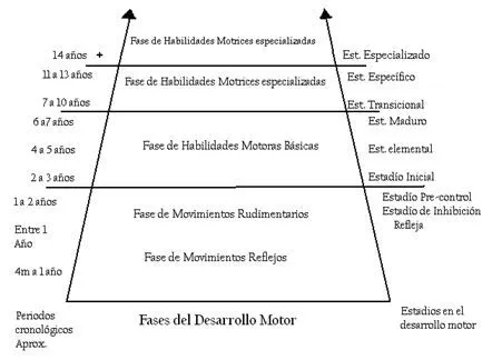 Propuesta de ejercicios para el desarrollo de la coordinación en ... Propuesta de ejercicios para el desarrollo de la coordinación en ...