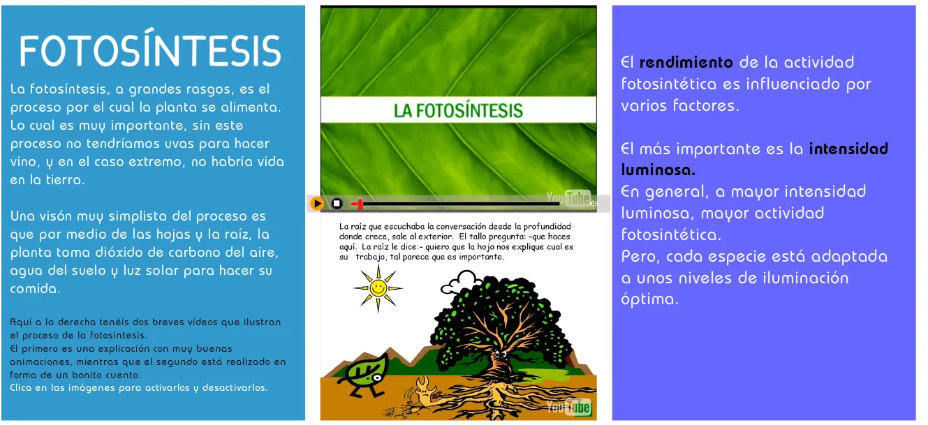 Propuestas y materiales para el aprendizaje de la ciencia: LA ... Propuestas y materiales para el aprendizaje de la ciencia: LA ...