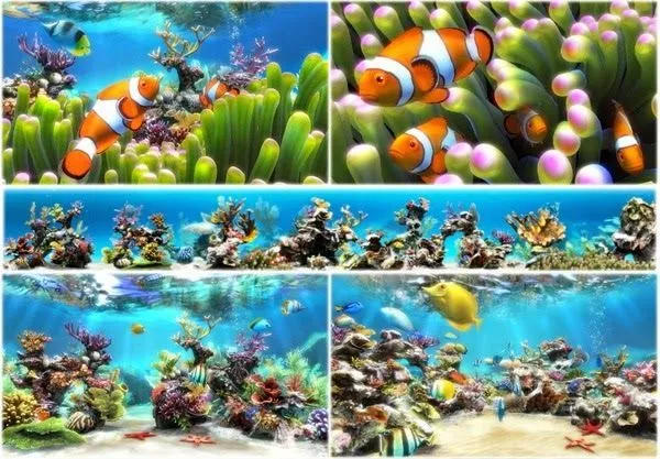 Protector de pantalla - Acuario 3D (con crack) Descargar Gratis