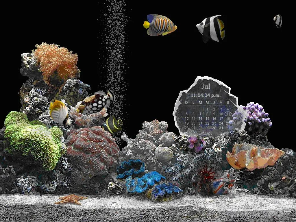 Protectores De Pantalla En Movimiento Gratis