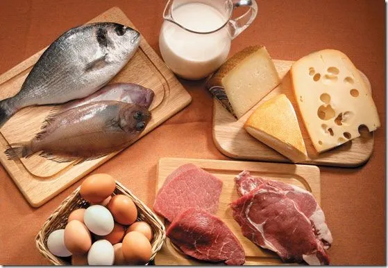 Las proteínas. Los aminoácidos. | La guía de Biología