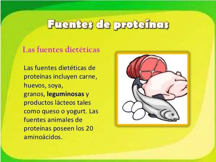 las proteinas en diapositivas
