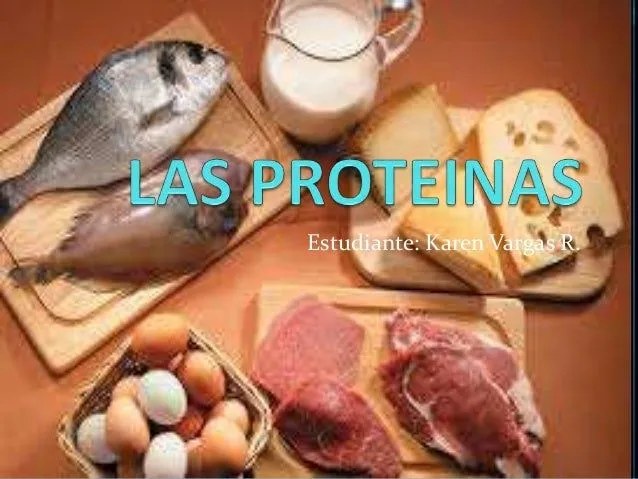 Las proteinas en español