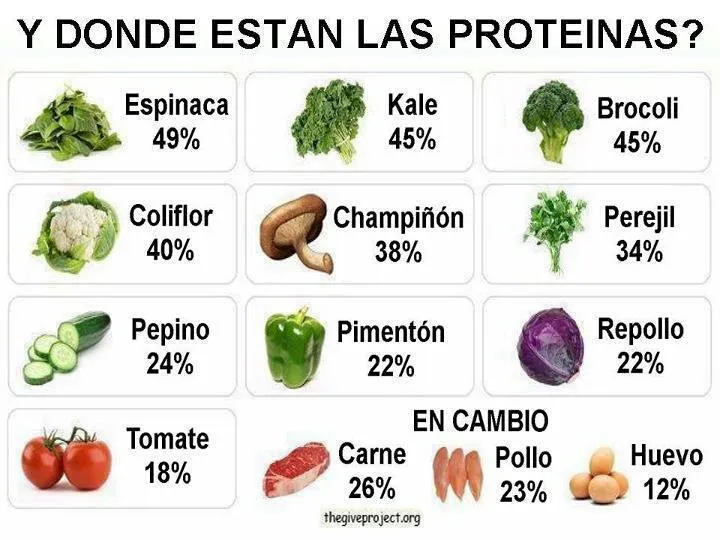 proteinas: presentacion y defensa del proyecto integrador de las ...