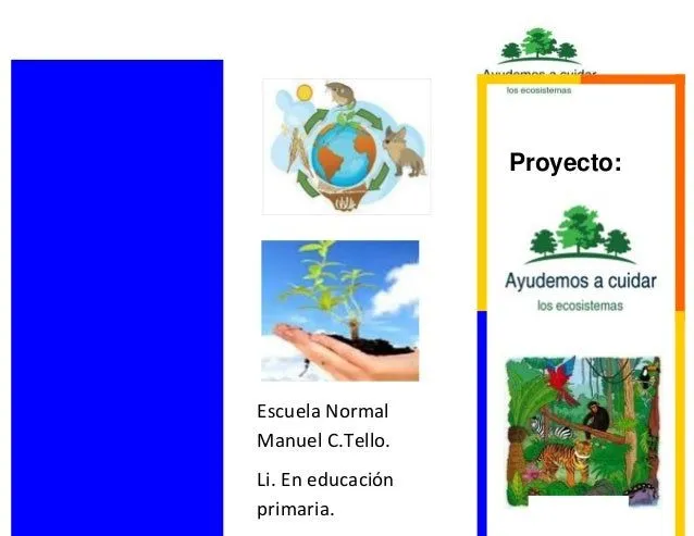 Proyecto
