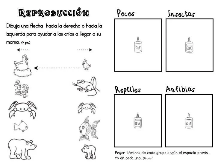 proyecto-animales-4-728.jpg?cb ...
