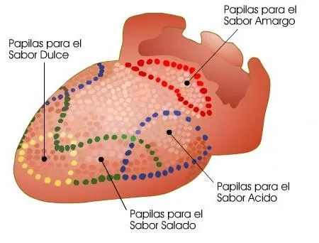 Caras con lengua para colorear - Imagui