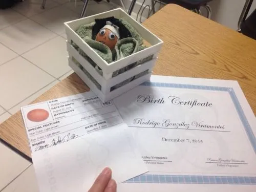 Proyecto: Bebé Huevo Nuestros alumnos de 2º de... - Avalon School