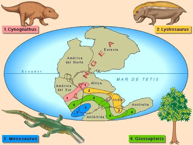 Proyecto Biosfera