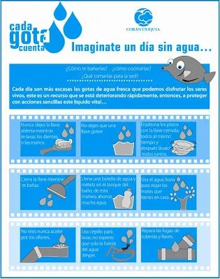 Proyecto de Educación Medioambiental 1BCA: octubre 2009