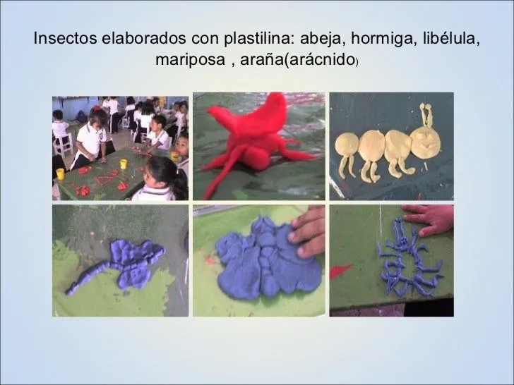 Proyecto Los Insectos