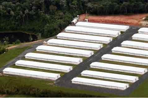 Proyecto Integral de granja de producción, Centro de Genética ...