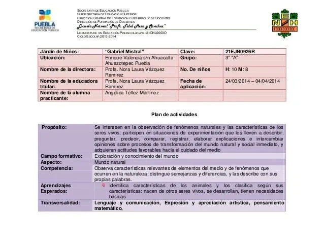 5. mi primer proyecto, como nacen algunos animales 5. mi primer proyecto, como nacen algunos animales
