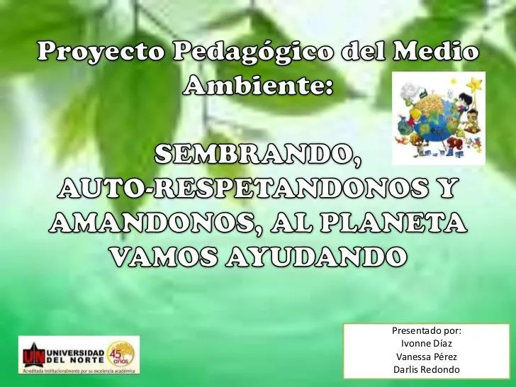 Proyecto pedagogico medio ambiente sustentacion