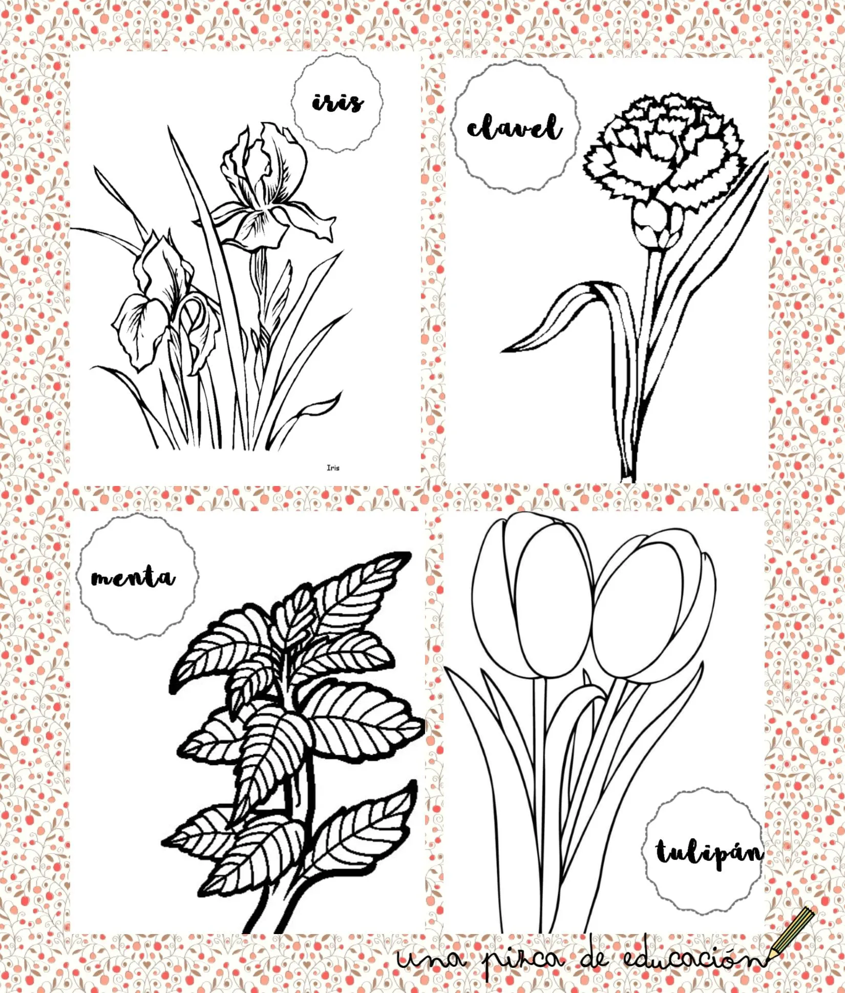 Proyecto de las plantas - Una Pizca de Educación | Familia · Maestros · Niños Proyecto de las plantas - Una Pizca de Educación | Familia · Maestros · Niños