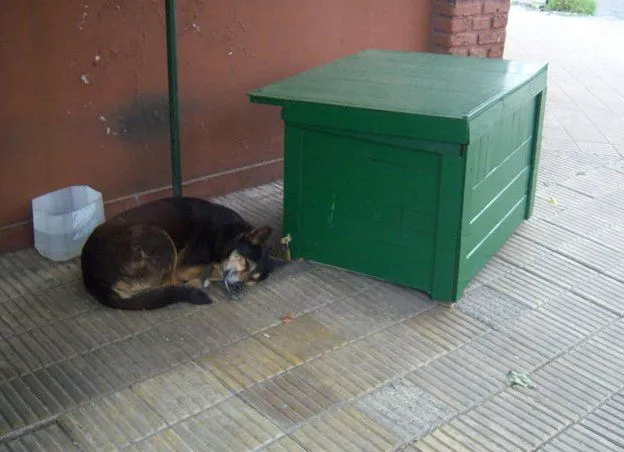 proyectocuchasmiguelmedina.jpg
