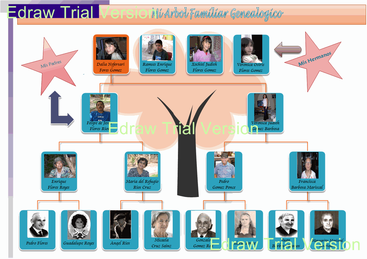 Proyectos de TIC's [♥ Dalia ♥]: Manejo de Edraw