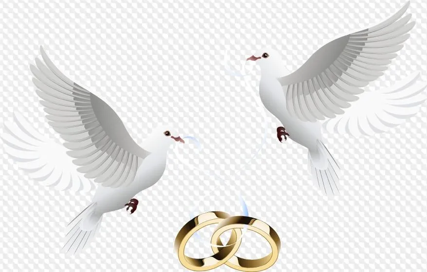 PSD, 8 PNG, gráficos para la boda en fondo transparente PSD, 8 PNG, gráficos para la boda en fondo transparente