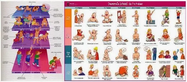 PSICOLOGÍA: 2.2 ETAPAS DEL DESARROLLO Y SU ADAPTACION PSICOLOGÍA: 2.2 ETAPAS DEL DESARROLLO Y SU ADAPTACION