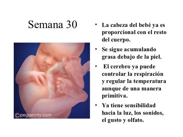 Trabajo psicologia embarazo 95 97