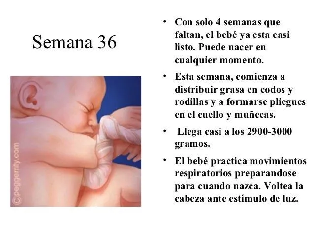 Trabajo psicologia embarazo 95 97