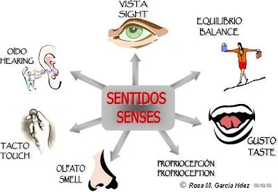 5 SENTIDOS PARA PINTAR - Imagui