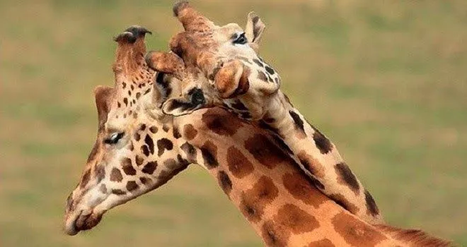 PSICOLOGOS PERU: julio 2014