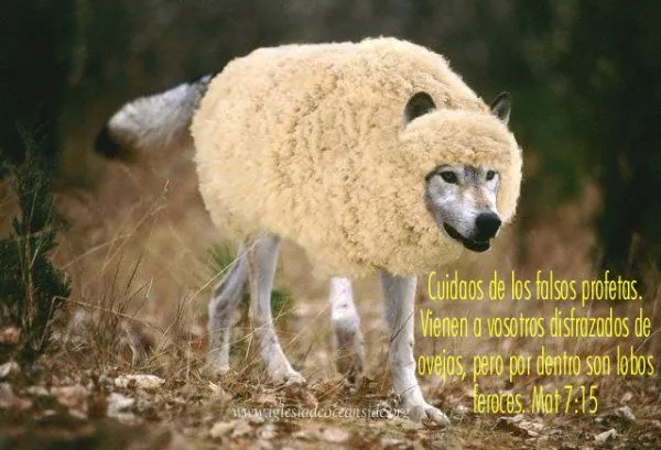 PSICOLOGOS PERU: LOBO DISFRAZADO DE CORDERO PSICOLOGOS PERU: LOBO DISFRAZADO DE CORDERO